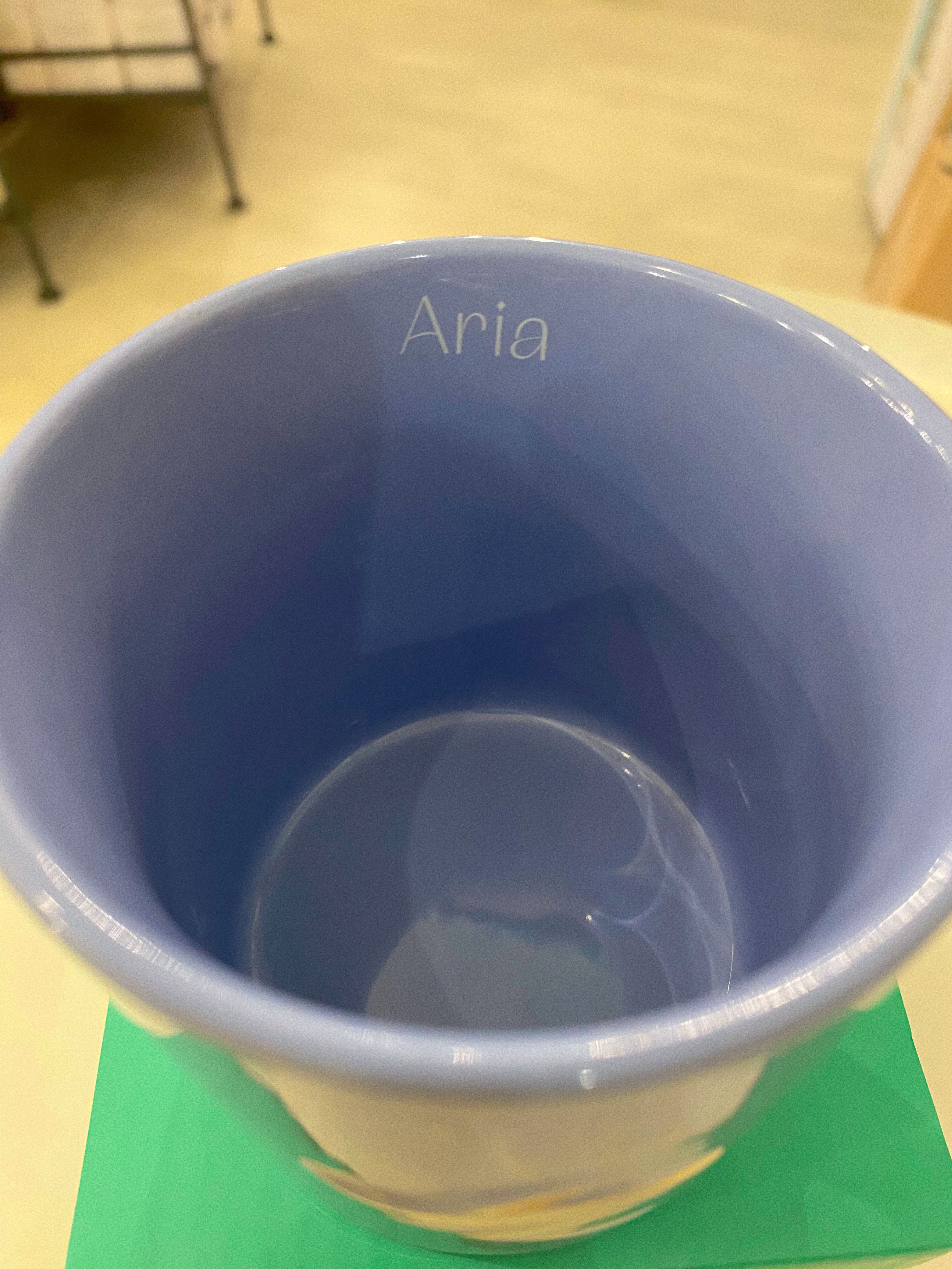 NEAVITA Nature Elements Mug Aria