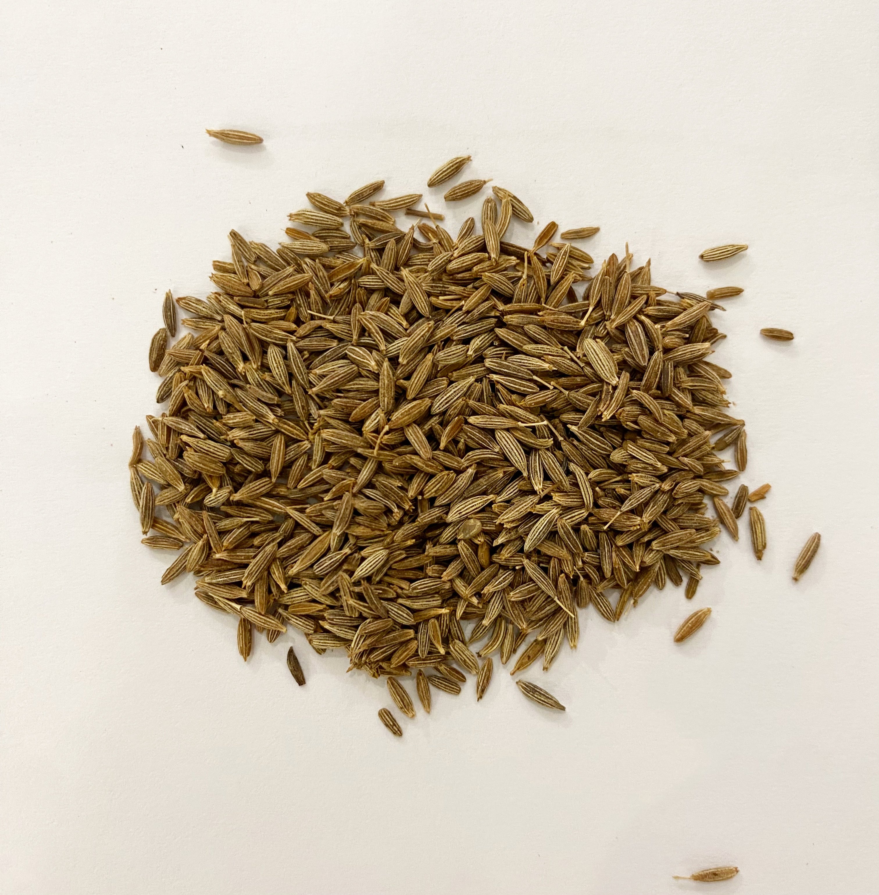 Semi di Cumino 100gr