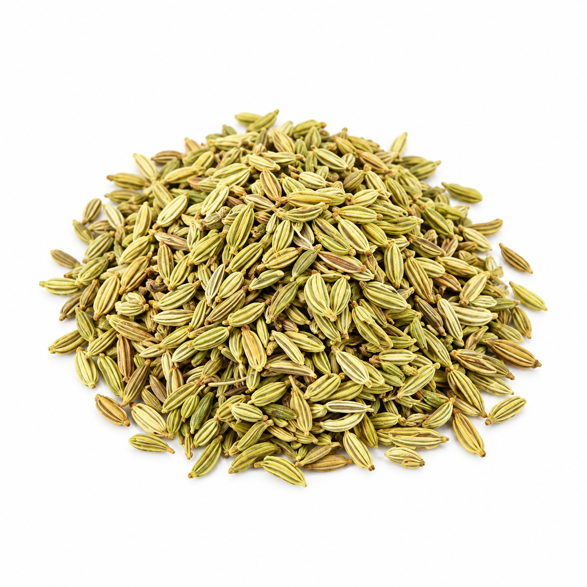 Finocchio Frutti Interi 100gr