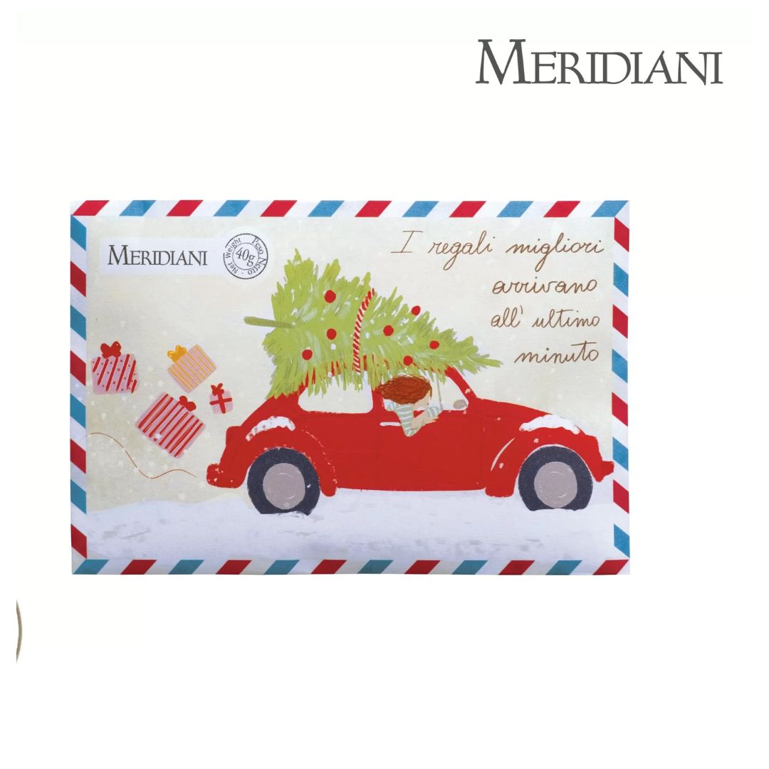 MERIDIANI Busta Magia di Natale - Miscela di Tè, frutta e spezie 40 g