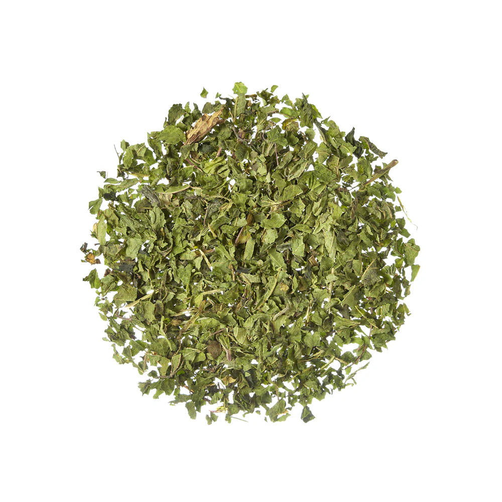 27027_OrtigaBio_1000X1000_l