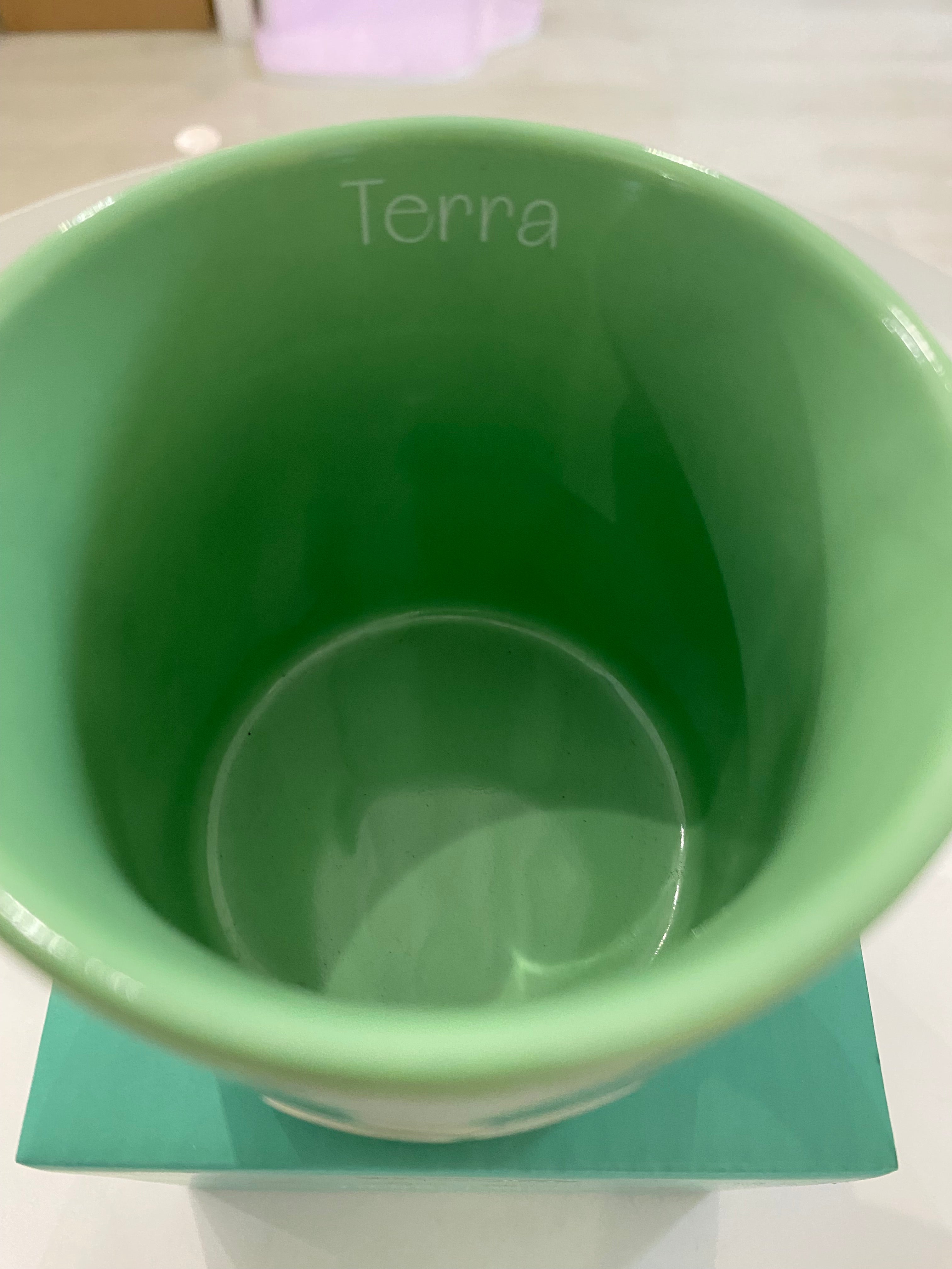 NEAVITA Nature Elements Mug Terra