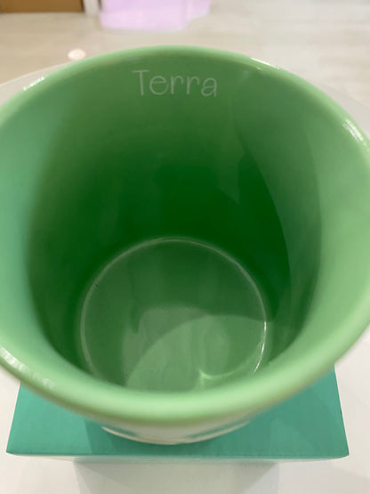 NEAVITA Nature Elements Mug Terra