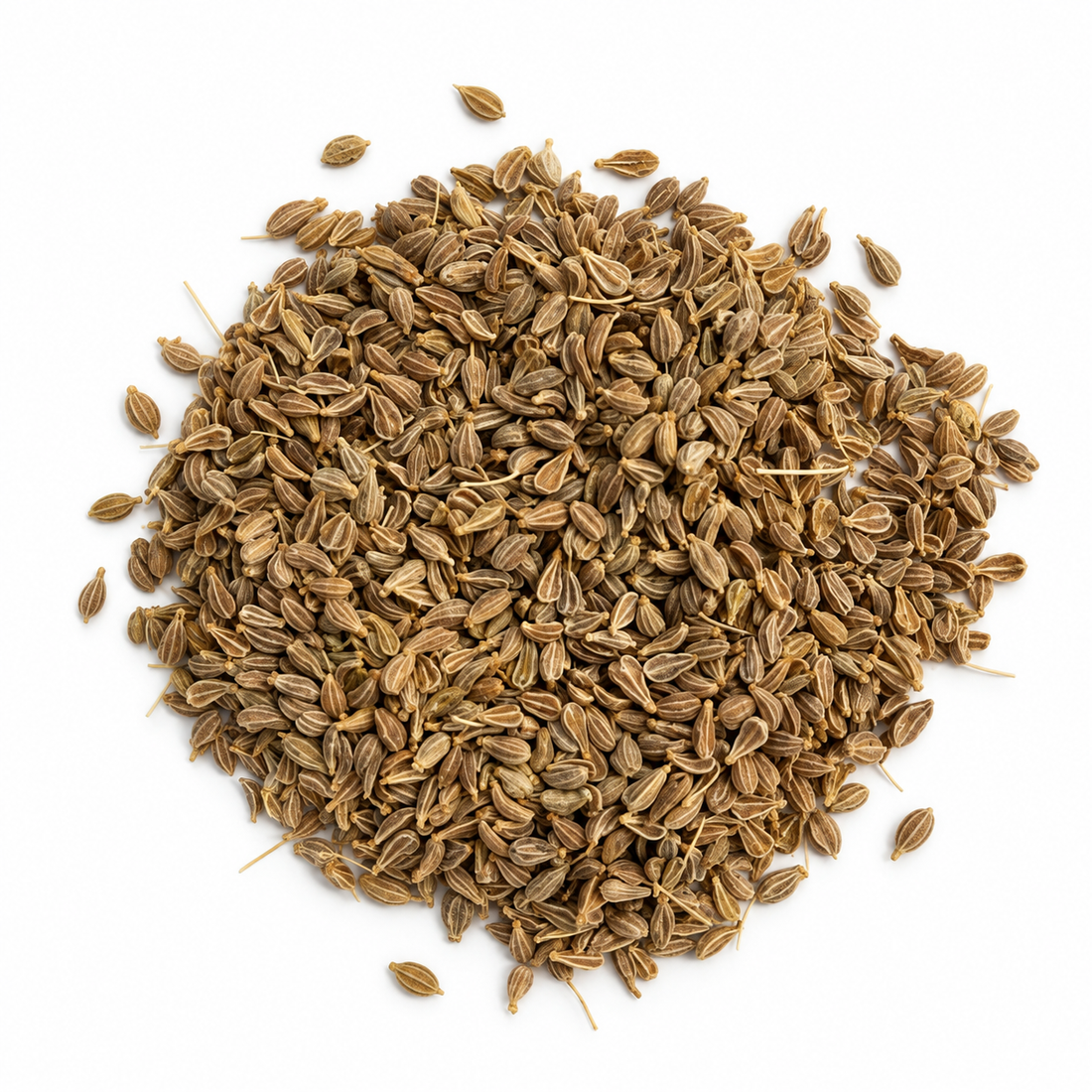 Anice Verde Semi Interi 100gr