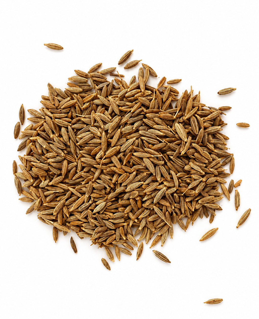 Semi di Cumino 100gr