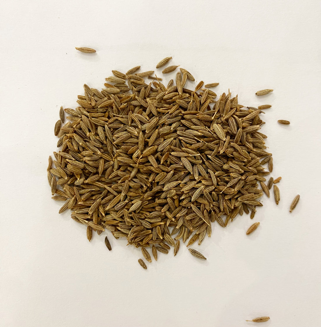 Semi di Cumino 100gr