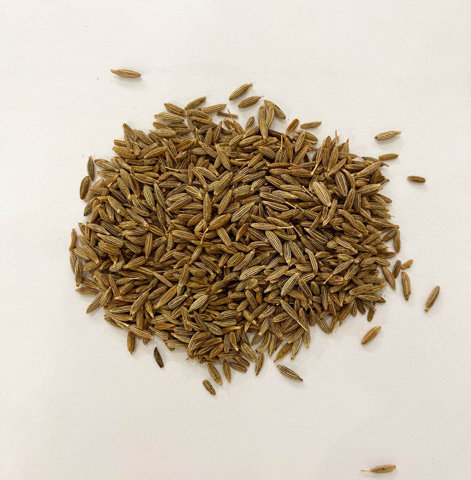 Semi di Cumino 100gr