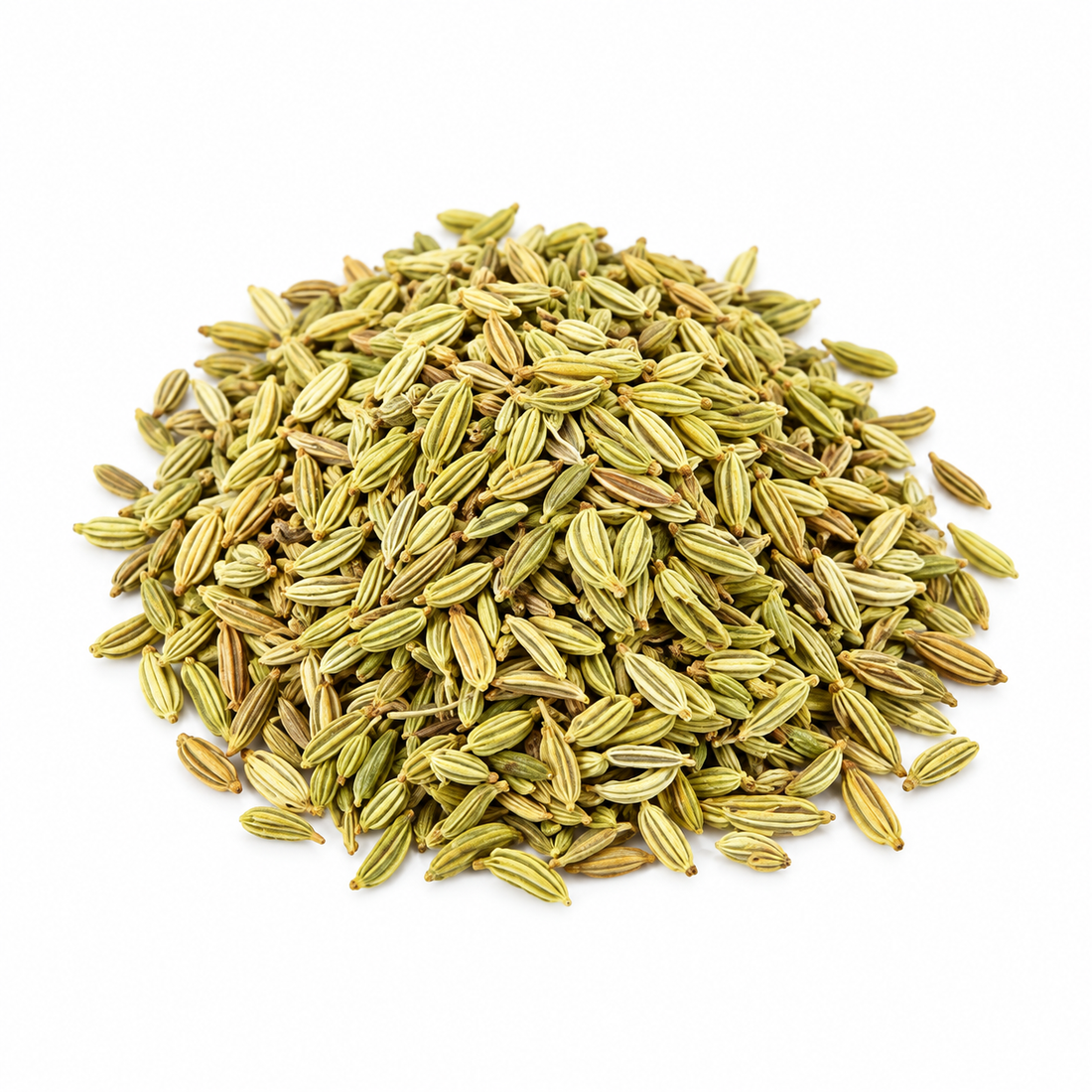 Finocchio Frutti Interi 100gr