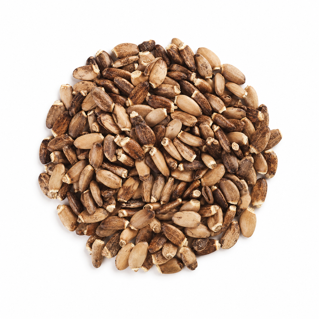 Tisana Cardo Mariano Semi Interi 100gr