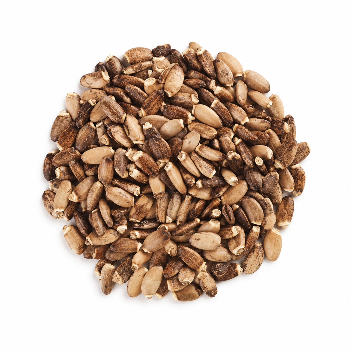 Tisana Cardo Mariano Semi Interi 100gr